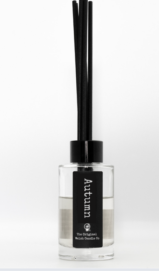 Autumn Diffuser 100ml - Vetiver, Amber & Bergamot, a lush scent of a welsh Autumn